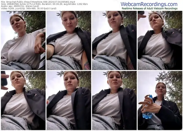 stripchat-morphine_666-07-04-2024-09-58-01