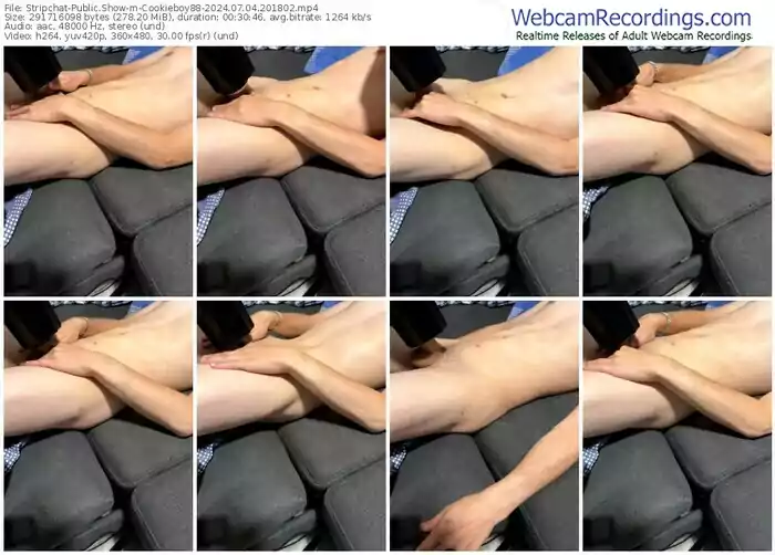 stripchat-cookieboy88-07-04-2024-20-18-02