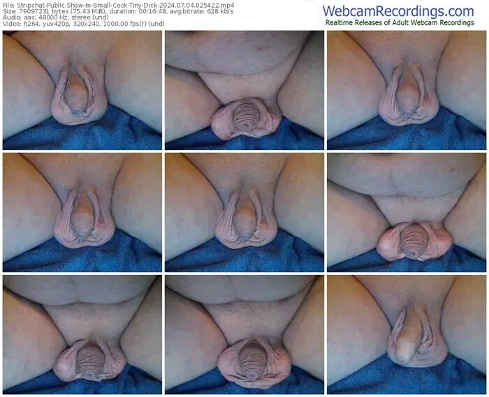 stripchat-small-cock-tiny-dick-07-04-2024-02-54-22