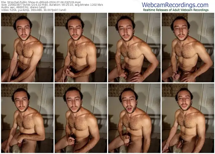 stripchat-ditboi6-07-04-2024-03-25-33