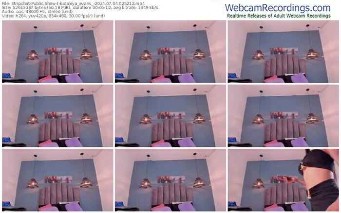 stripchat-kataleya_evans_-07-04-2024-02-52-12