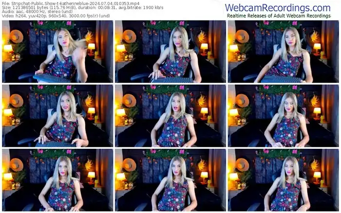 stripchat-katherineblue-07-04-2024-01-03-53