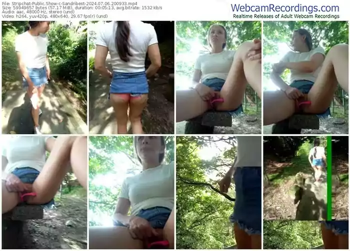 stripchat-sandribest-07-06-2024-20-09-33