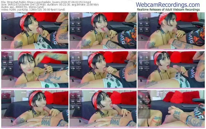 stripchat-psychedelic_lovers-07-06-2024-01-15-13