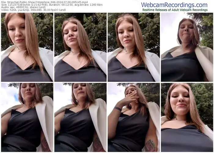 stripchat-morphine_666-07-06-2024-09-51-45
