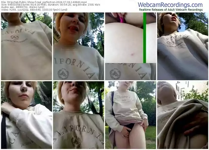 stripchat-real_perfection-07-06-2024-14-08-40