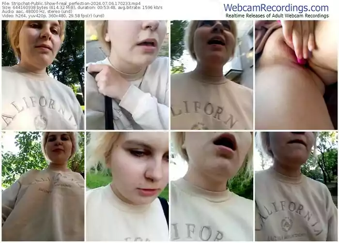 stripchat-real_perfection-07-06-2024-17-02-33