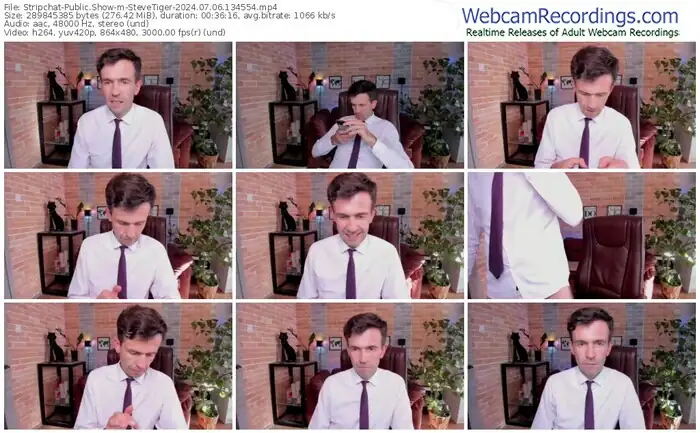 stripchat-stevetiger-07-06-2024-13-45-54