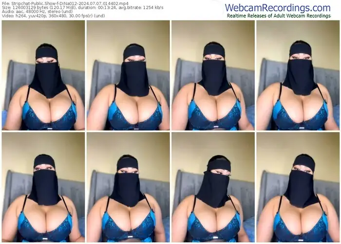 stripchat-dina012-07-07-2024-01-44-02