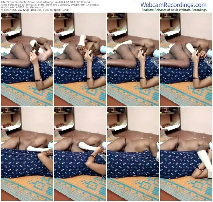 stripchat-feltedeuropium-07-08-2024-11-05-38