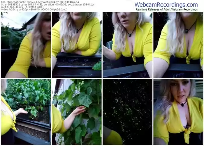 stripchat-lexysaint-07-08-2024-19-40-48