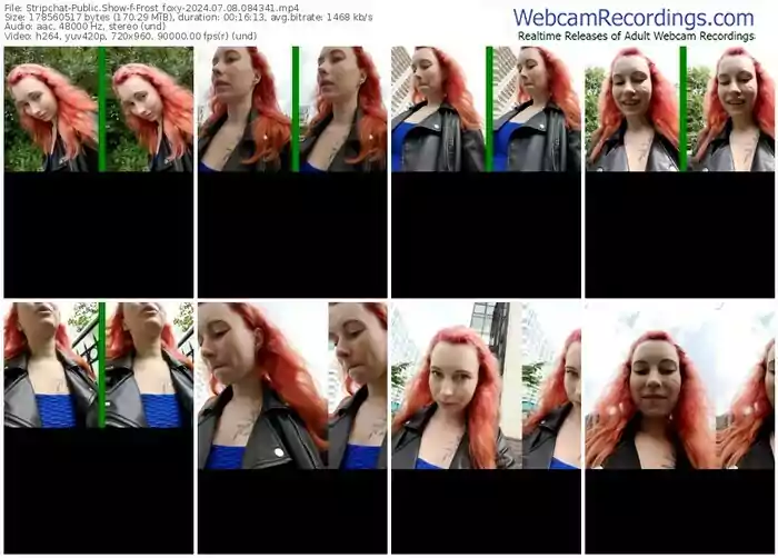 stripchat-frost_foxy-07-08-2024-08-43-41