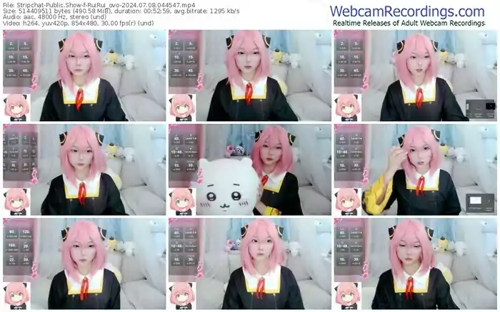 stripchat-ruirui_ovo-07-08-2024-04-45-47