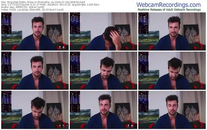 stripchat-promethe_us-07-08-2024-18-36-39