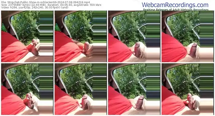 stripchat-schlecker66-07-08-2024-09-42-18