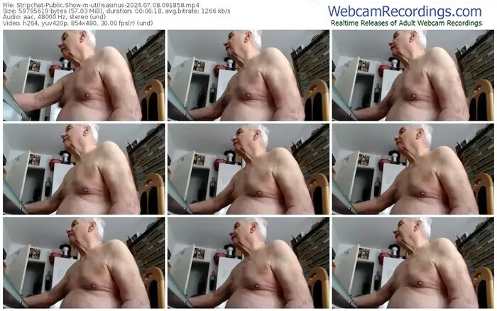 stripchat-utilisasinus-07-08-2024-09-18-58