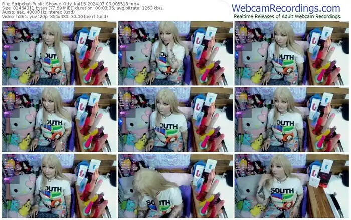stripchat-kitty_kat15-07-09-2024-00-55-18