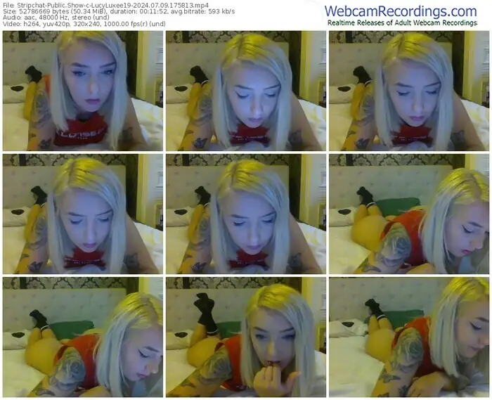 stripchat-lucyluxee19-07-09-2024-17-58-13