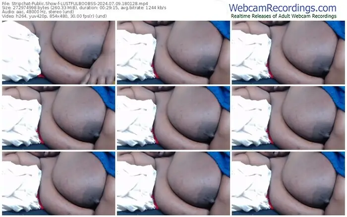 stripchat-lustfulboobss-07-09-2024-18-01-28