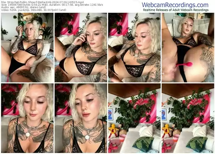 stripchat-stella-kink-07-09-2024-14-05-15
