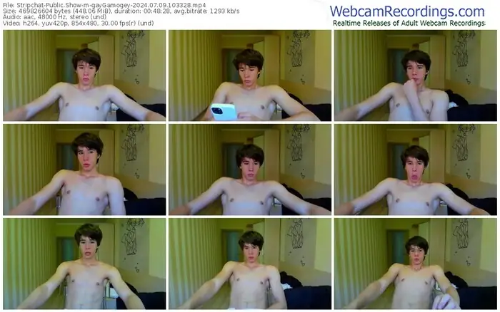 stripchat-gaygamogey-07-09-2024-10-33-28
