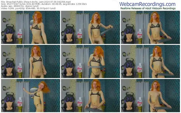 stripchat-archy_lein-07-09-2024-04-23-56