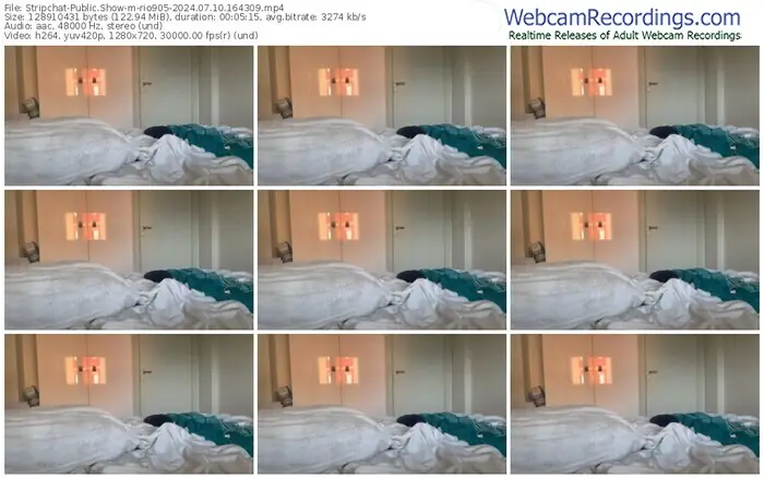 stripchat-rio905-07-10-2024-16-43-09