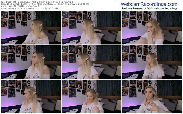 stripchat-aliciaparkerf-07-11-2024-01-17-36