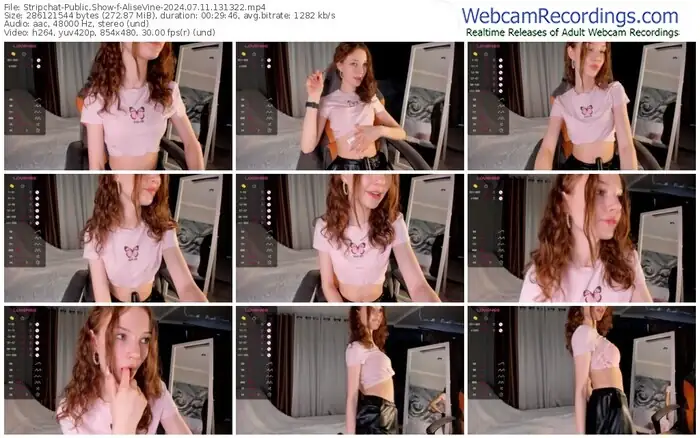 stripchat-alisevine-07-11-2024-13-13-22