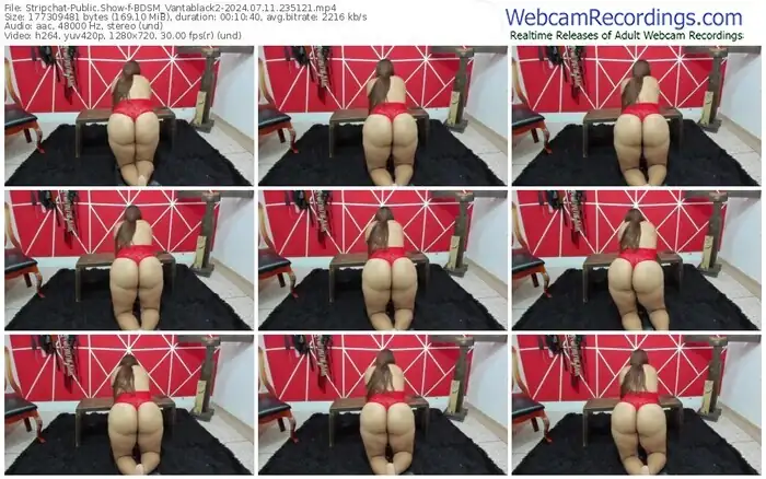 stripchat-bdsm_vantablack2-07-11-2024-23-51-21