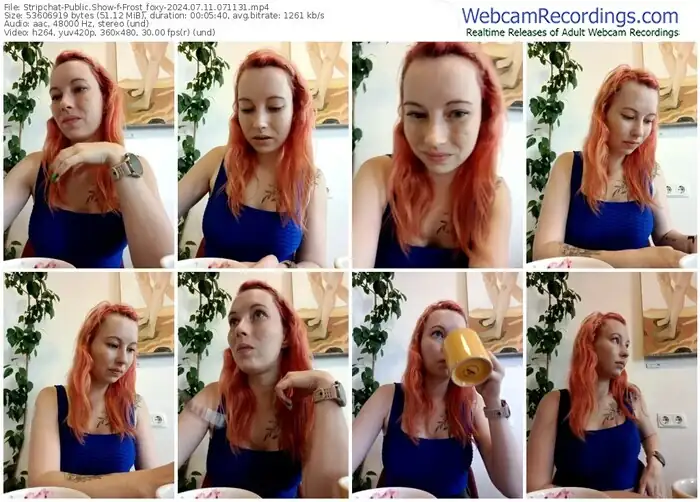 stripchat-frost_foxy-07-11-2024-07-11-31