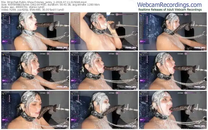 stripchat-honey_jenny_1-07-11-2024-01-50-46