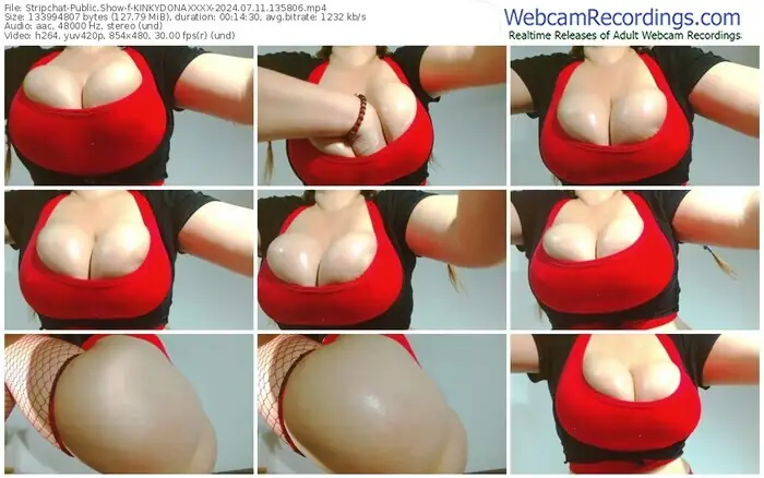 stripchat-kinkydonaxxxx-07-11-2024-13-58-06