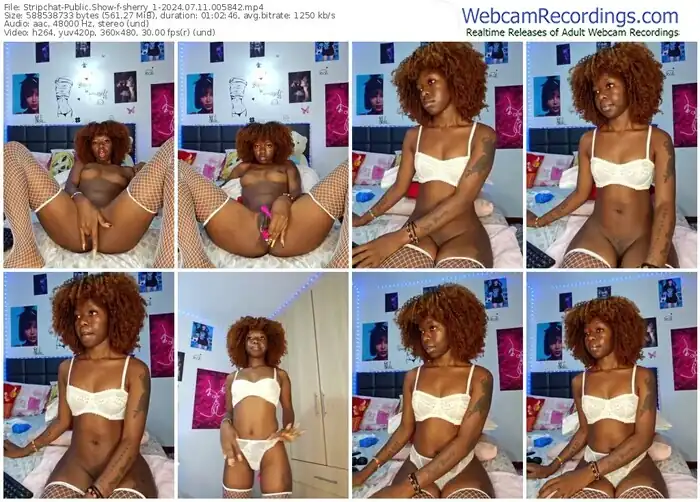 stripchat-sherry_1-07-11-2024-00-58-42