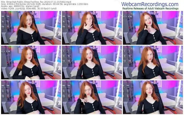 stripchat-willow_fox-07-11-2024-01-59-02