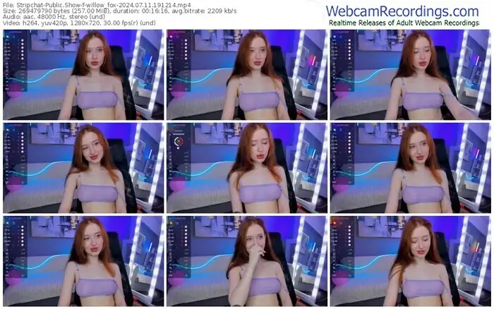 stripchat-willow_fox-07-11-2024-19-12-14