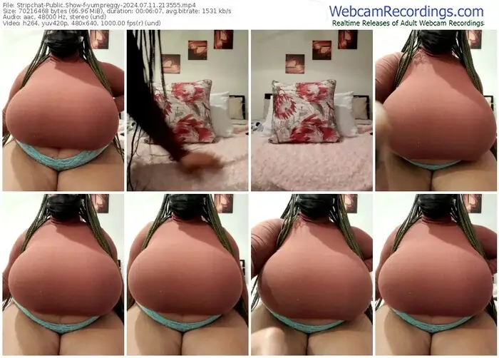 stripchat-yumpreggy-07-11-2024-21-35-55