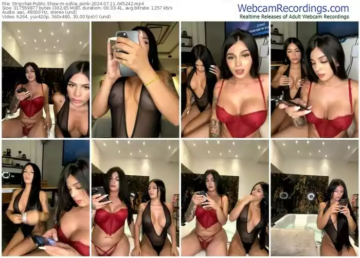 stripchat-sofiia_piink-07-11-2024-04-52-42