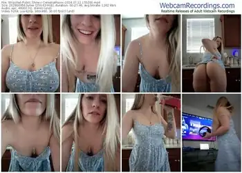 stripchat-celestialfoxxx-07-12-2024-15-52-00