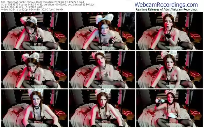 stripchat-dualhornyfire-07-12-2024-12-47-42