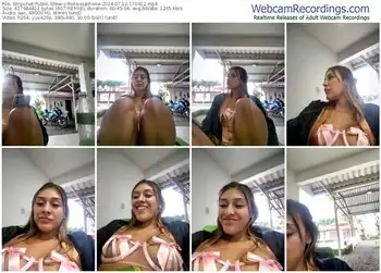 stripchat-rose-euphoria-07-12-2024-17-04-12