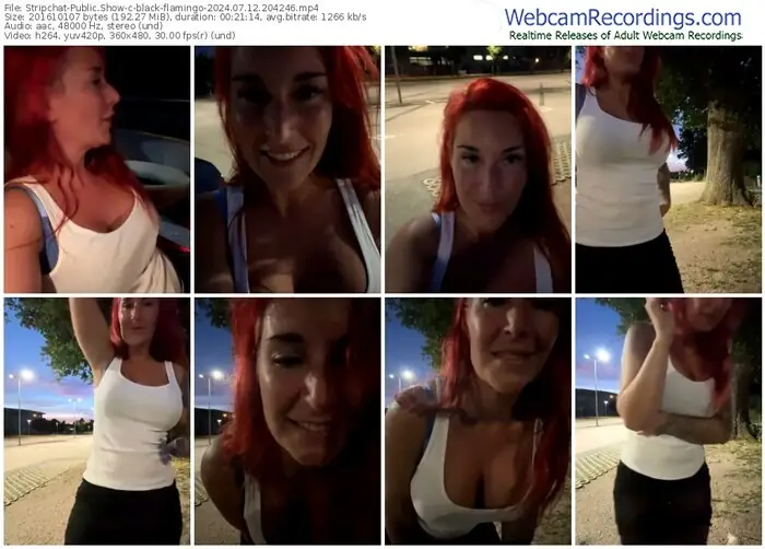 stripchat-black-flamingo-07-12-2024-20-42-46