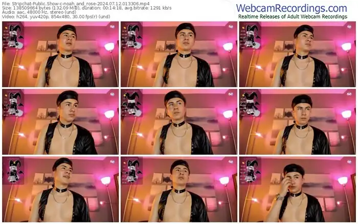 stripchat-noah_and_rose-07-12-2024-01-33-06