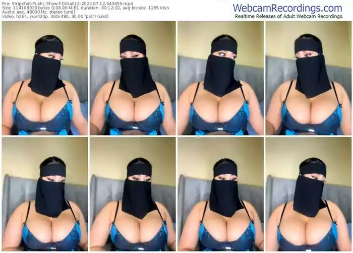 stripchat-dina012-07-12-2024-04-30-55