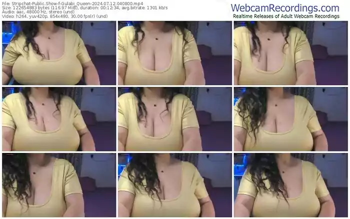 stripchat-gulabi_queen-07-12-2024-04-08-00