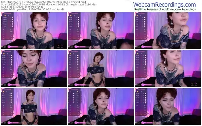 stripchat-naughtylittlefox-07-12-2024-02-25-34