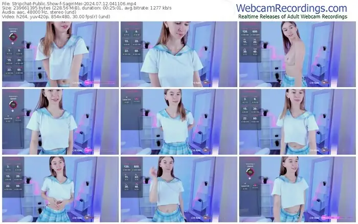 stripchat-sagirimei-07-12-2024-04-11-06