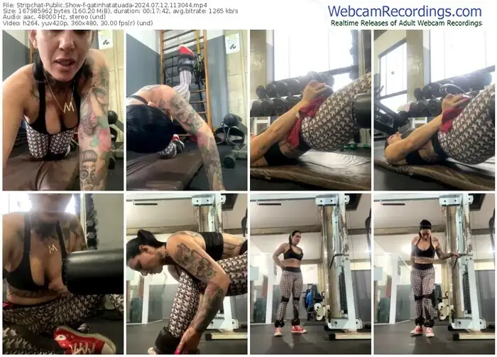 stripchat-gatinhatatuada-07-12-2024-11-30-44