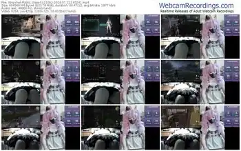 stripchat-z23002-07-12-2024-14-32-41