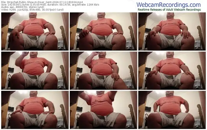 stripchat-diver_gent-07-12-2024-18-19-34